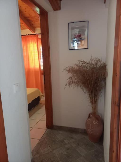 Apartament Δίχωρο Στούντιο Στον Κέντρο Του Αρμενιστή Armenistis  Zewnętrze zdjęcie